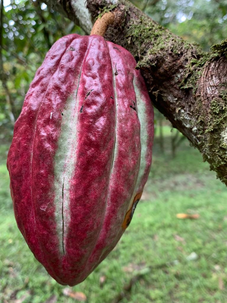 Preisanpassung ab 18.01.2026