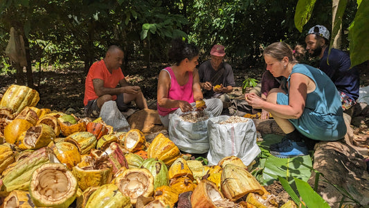 Teil 7: From tree to ceremony