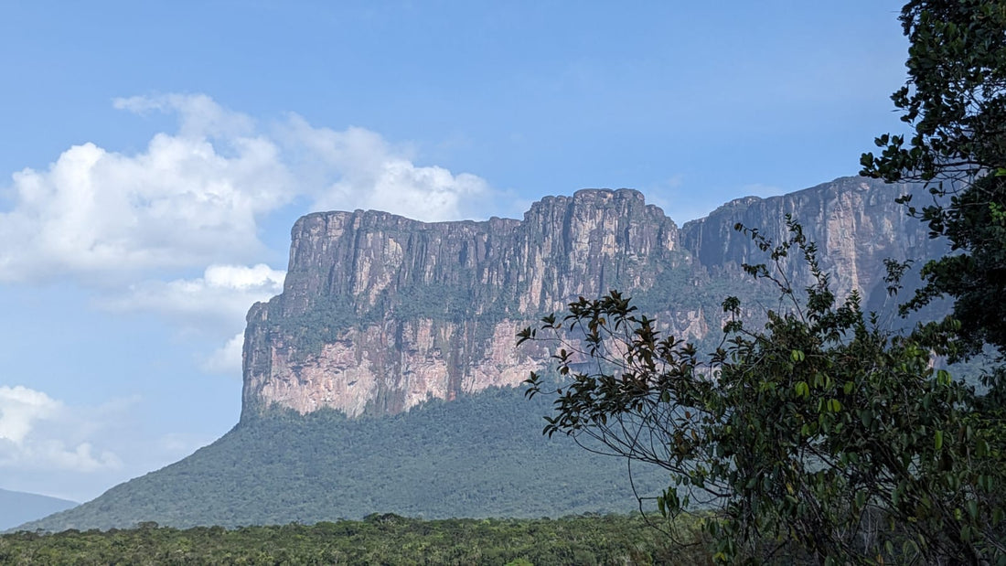 Teil 8: Die Reise zum Ursprung - Das Tepui