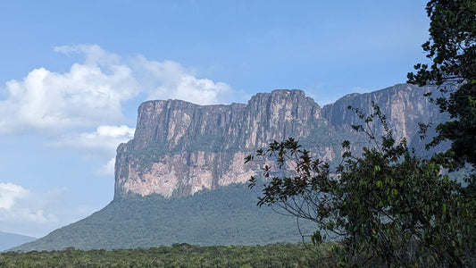 Teil 8: Die Reise zum Ursprung - Das Tepui