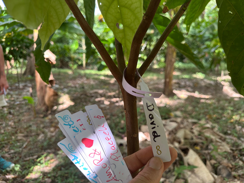 Baumpatenschaft_MayaMunay