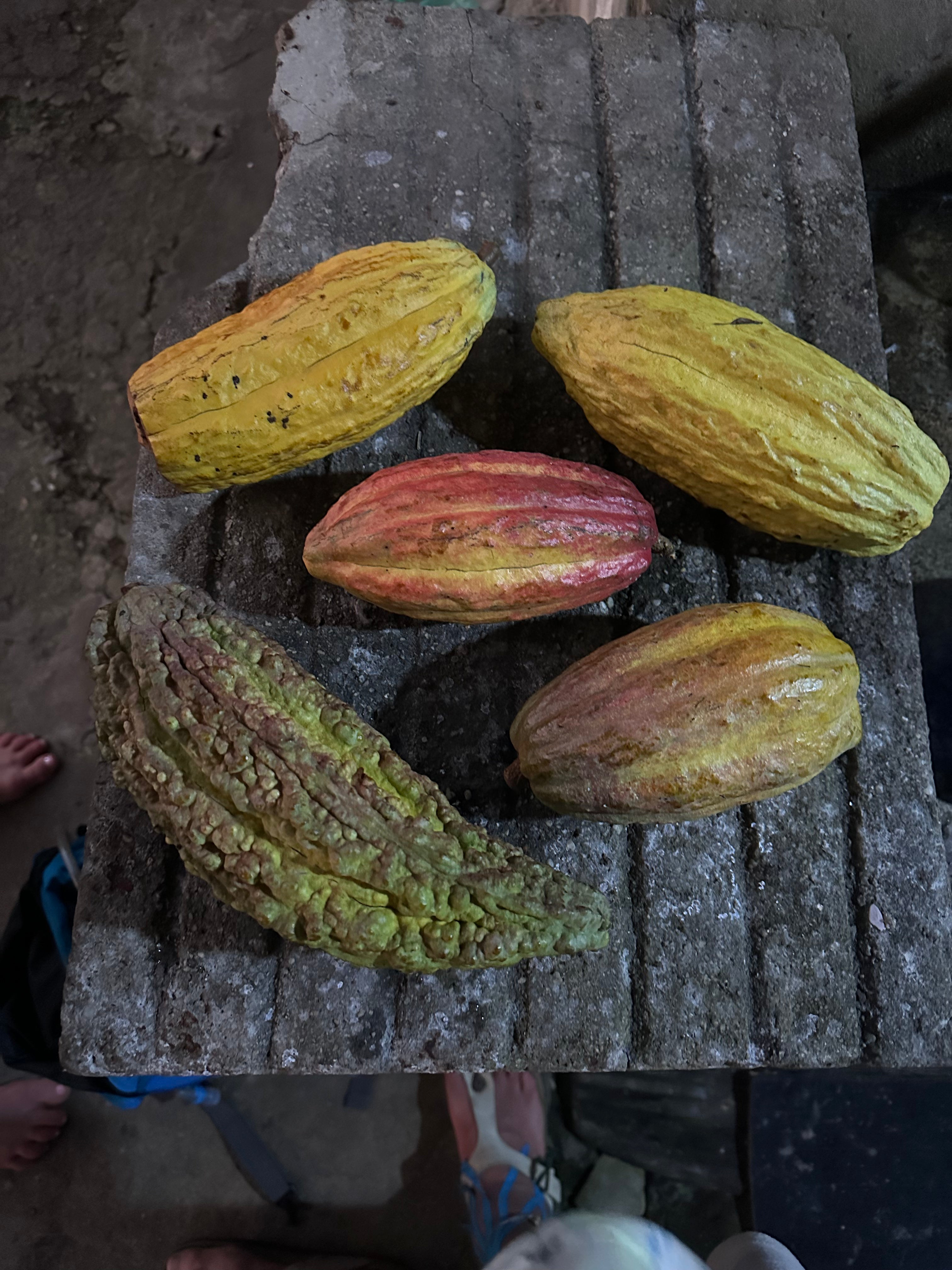 Masa de cacao Maya Munay 1 kg
