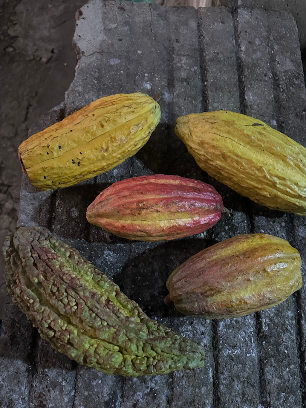 Mayamunay Best from Both Bundle