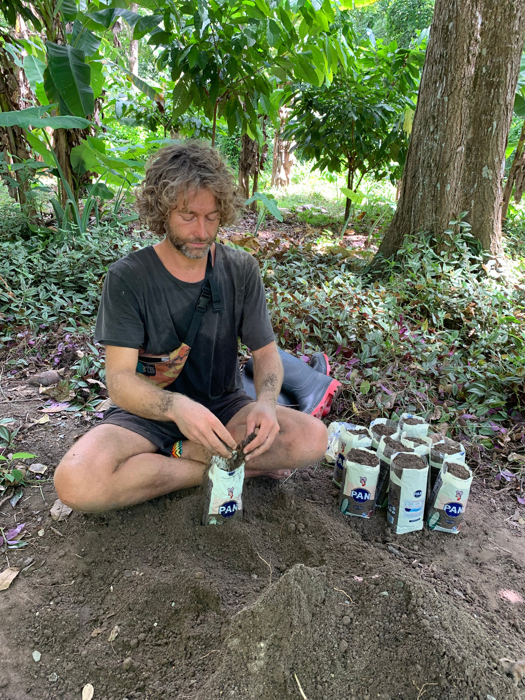 Kakaobäume_MayaMunay