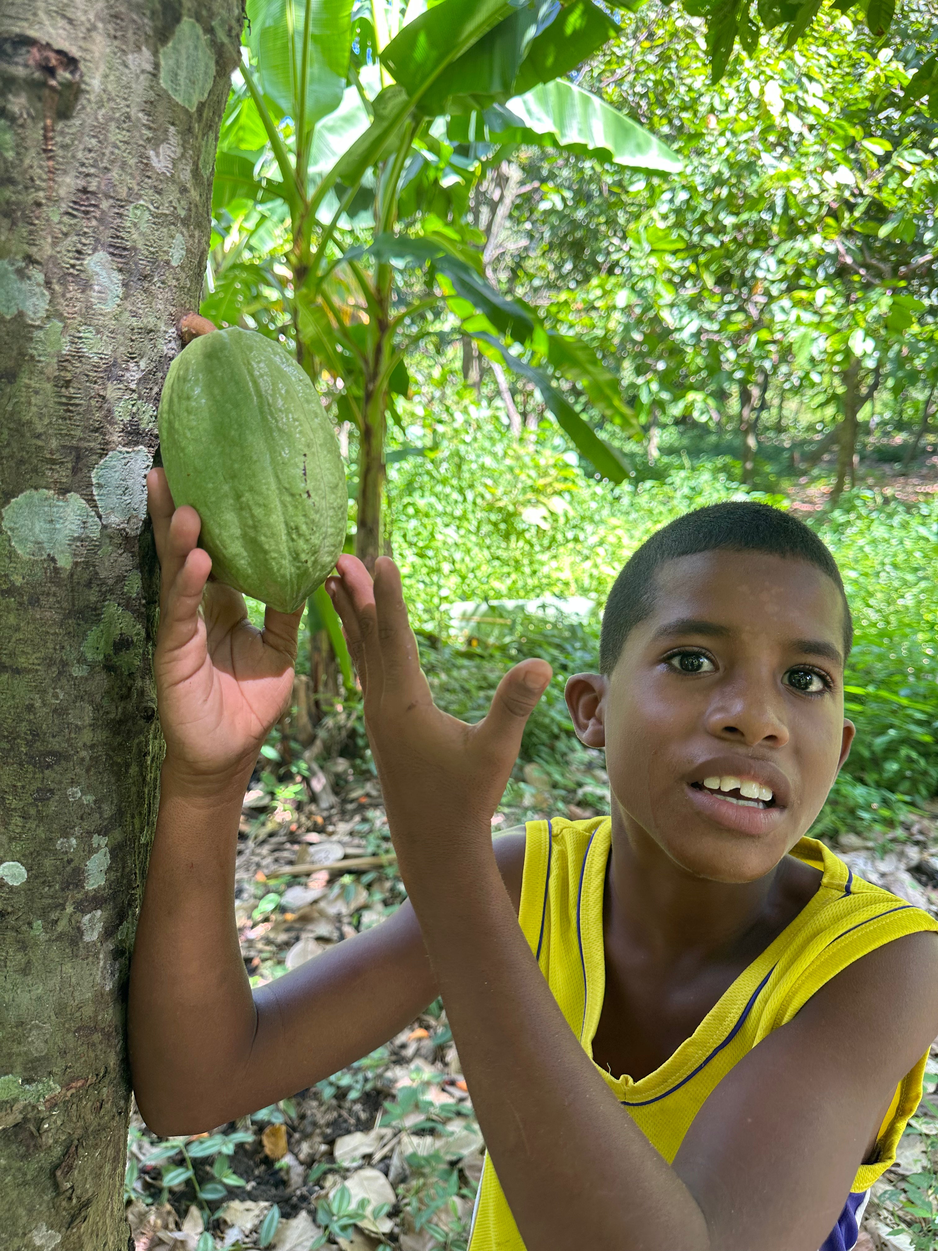 Mayamunay Kakao Baumpatenschaft