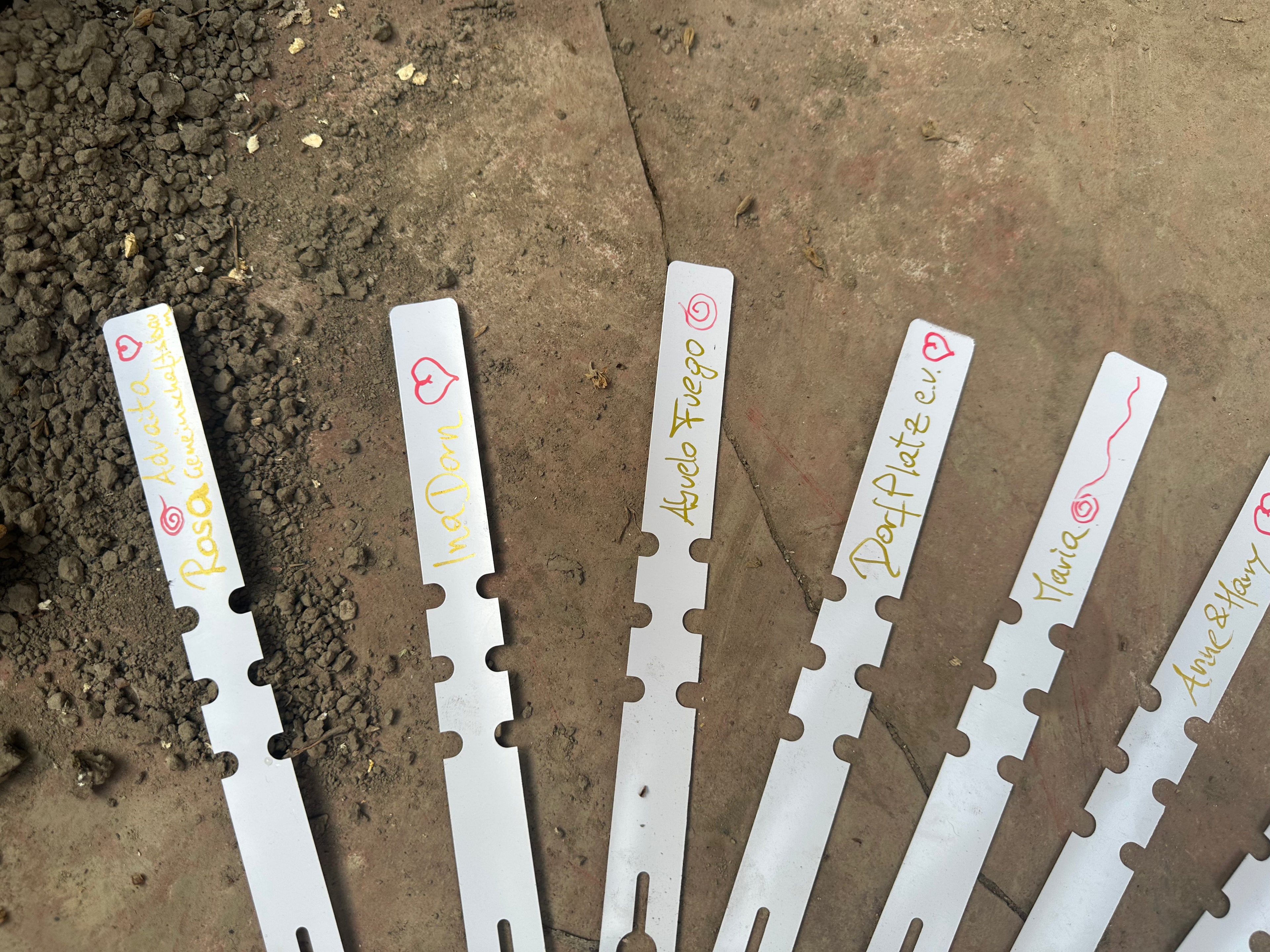 Mayamunay Kakao Baumpatenschaft