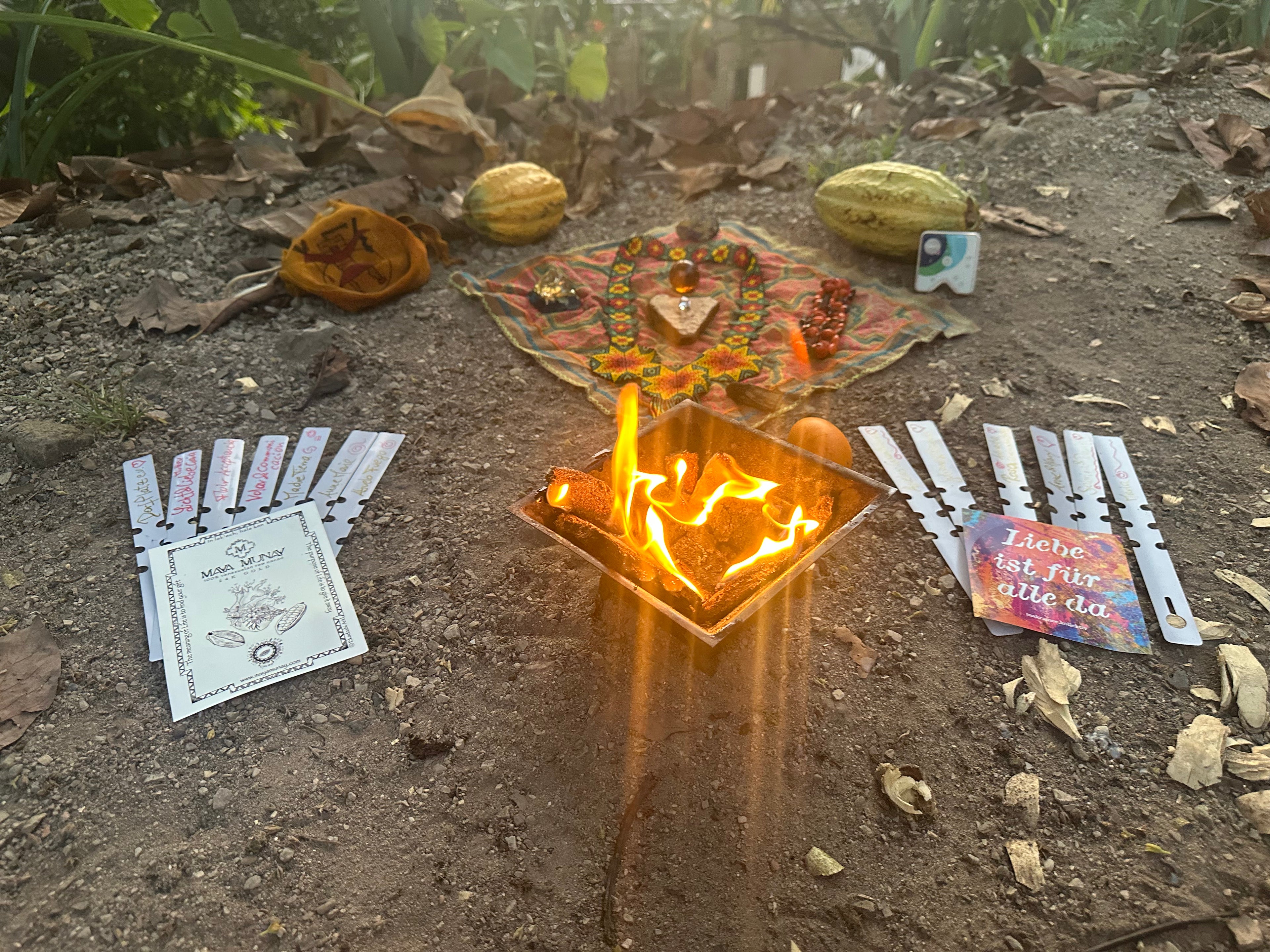 Mayamunay Kakao Baumpatenschaft