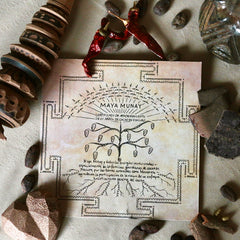 MayaMunay cocoa tree sponsorship