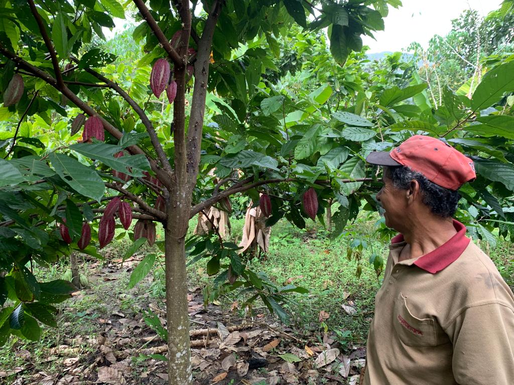 Open Heart Bundle mit Aloha