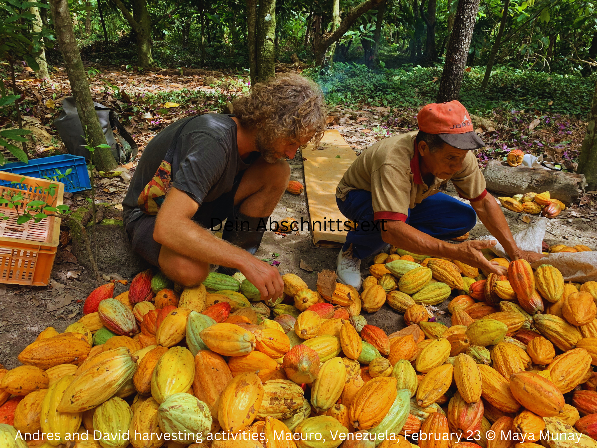 Mayamunay Taste Bundle Small