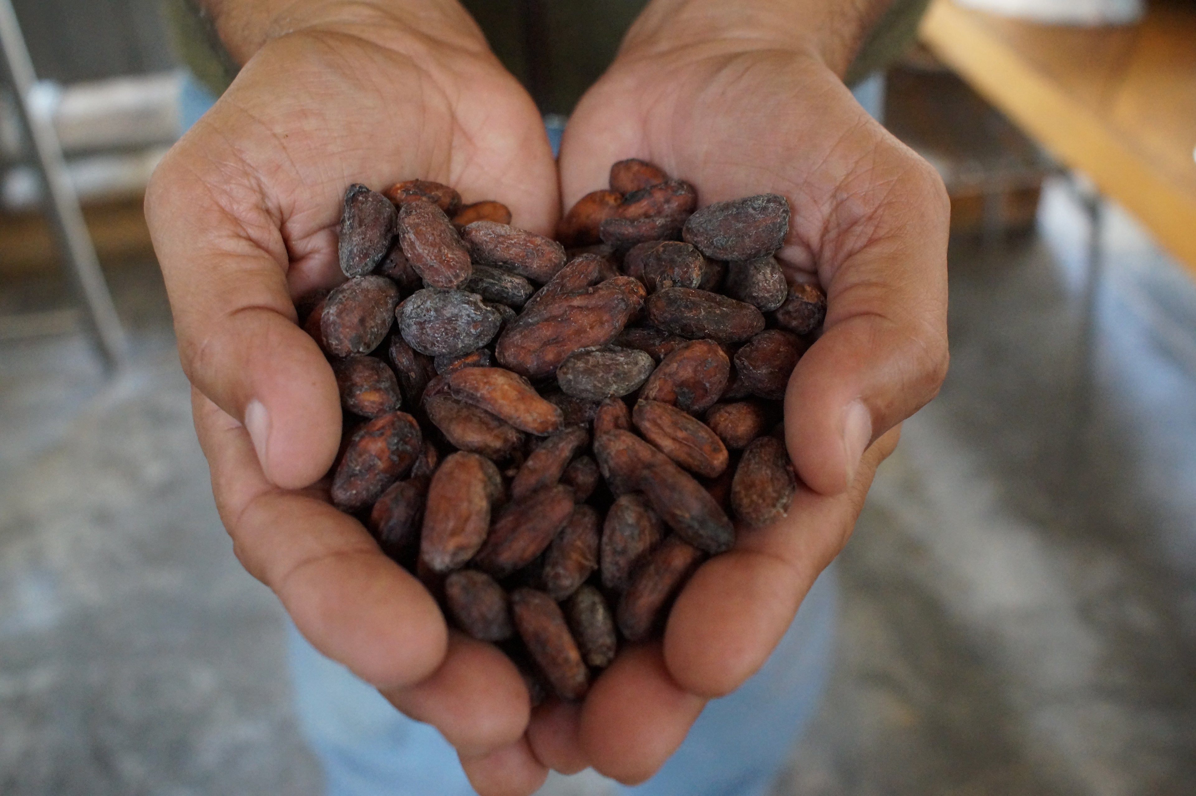 Mayamunay_cacao_hands