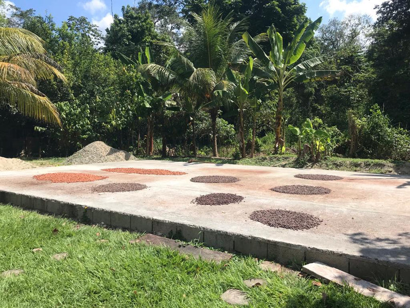 Mayamunay_projekt_sur_del_lago_02
