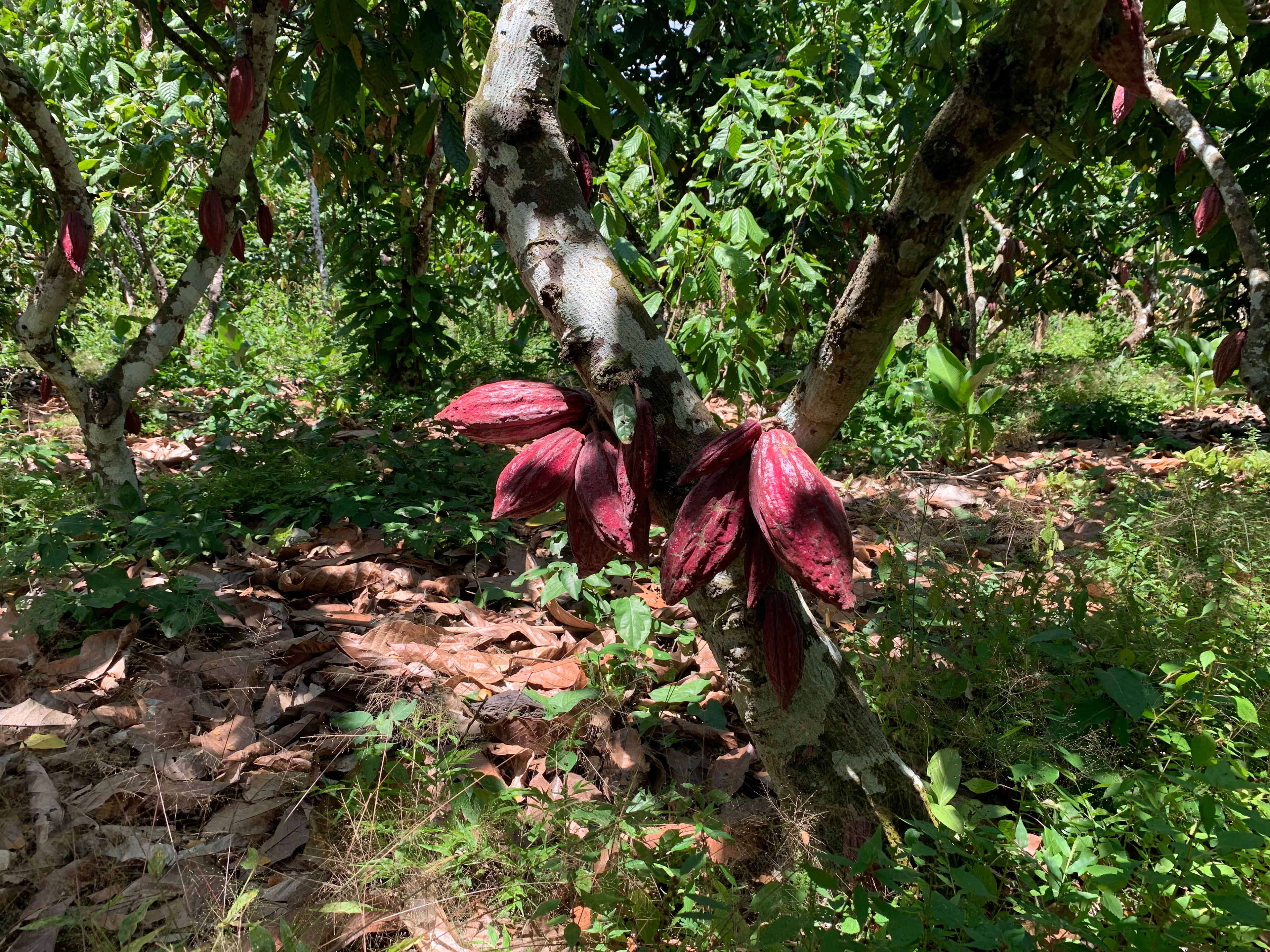 Mayamunay_projekt_sur_del_lago_03