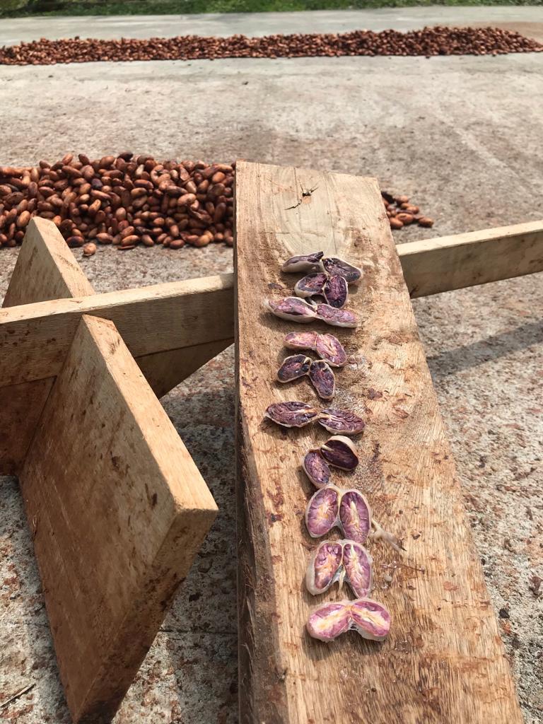 Mayamunay_projekt_sur_del_lago_04