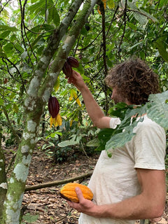 Maya Munay cocoa mass Aloha