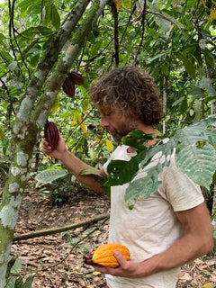 MayaMunay cocoa tree sponsorship