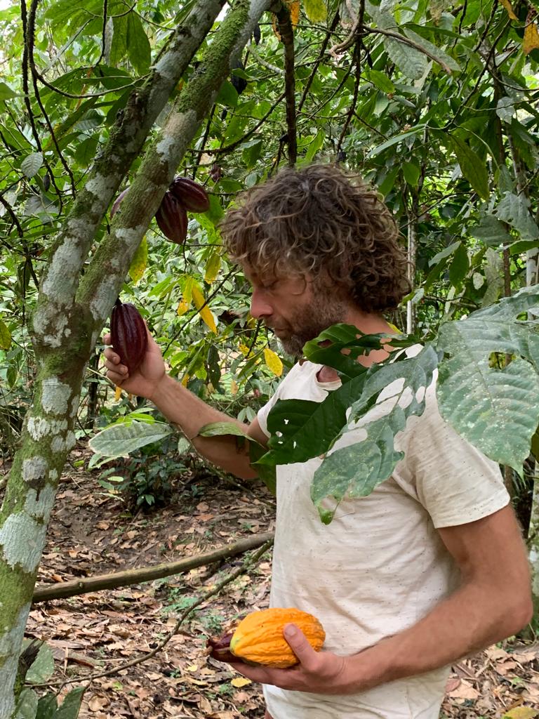 Mayamunay Kakao Baumpatenschaft