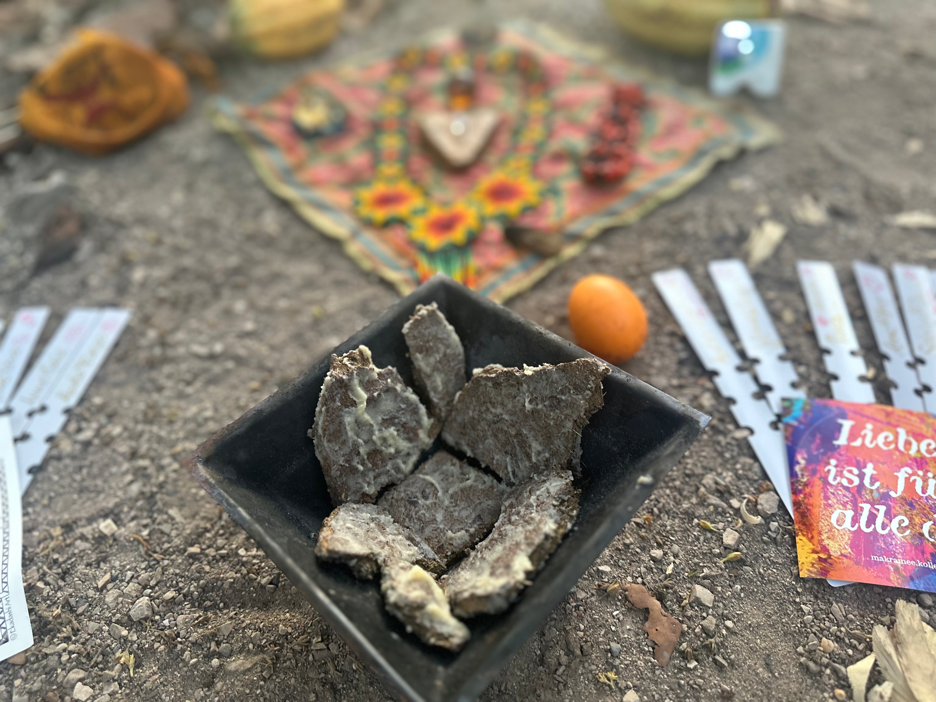 cacao_zeremonie_mit_den_baumpaten_und_agnihotra_caripito_februar_25