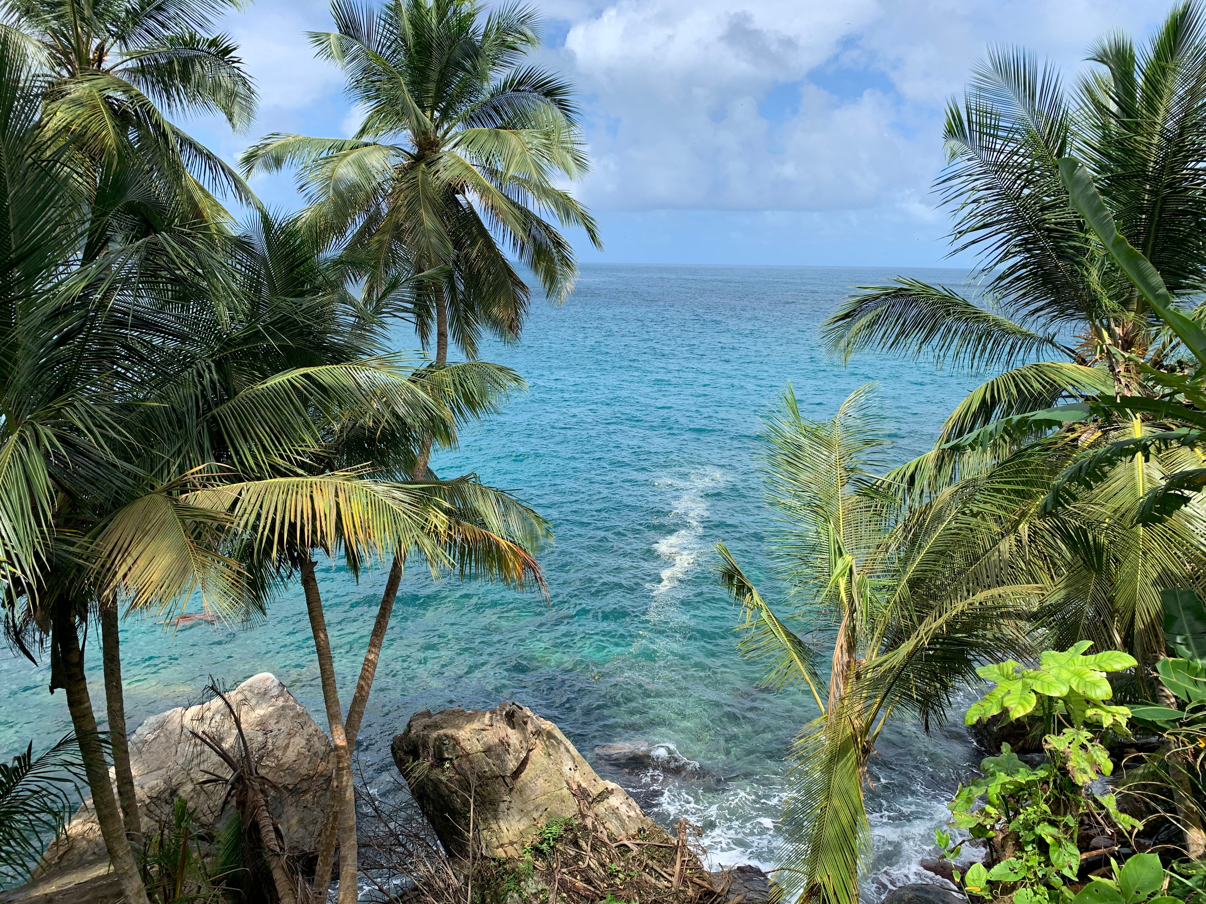 Brújula Anual Mayamunay (gratis)