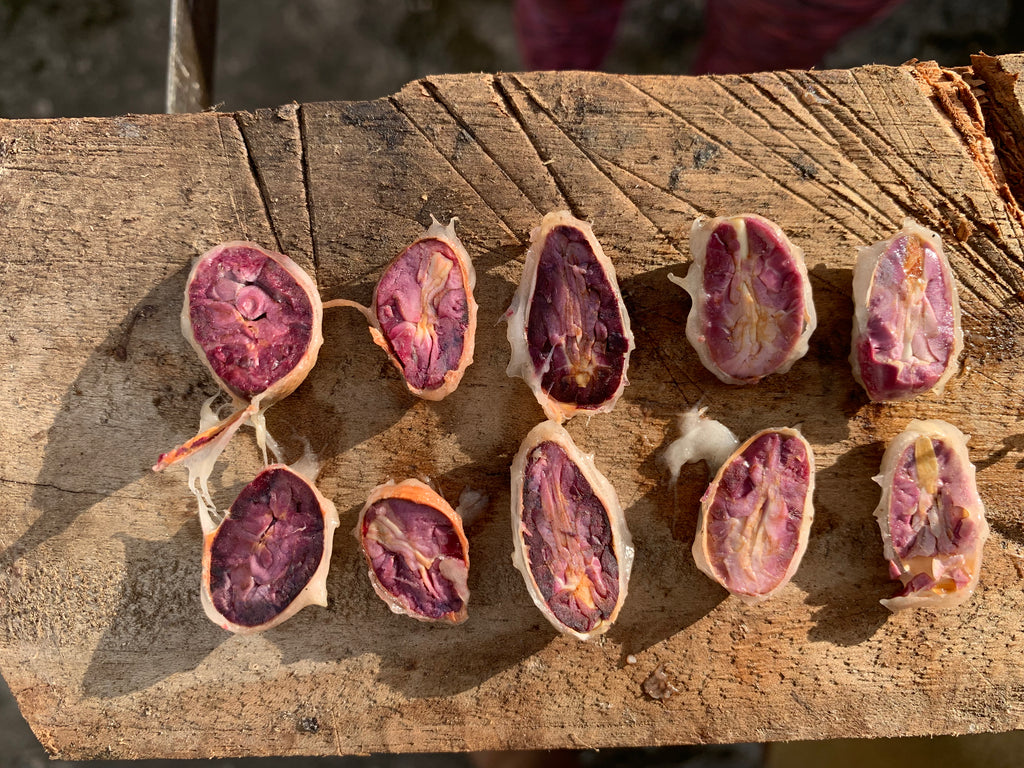 Masa de cacao Maya Munay 1 kg